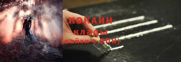 дмт Костерёво