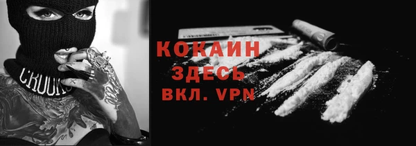 гашик Ладушкин