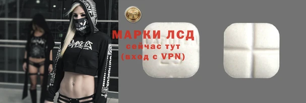 молекула духа Лабытнанги