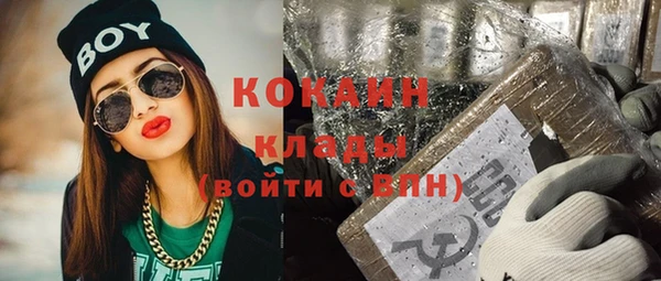 дмт Костерёво